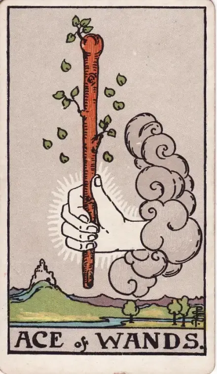 Ace of Wands tarot card (Rider–Waite–Smith)