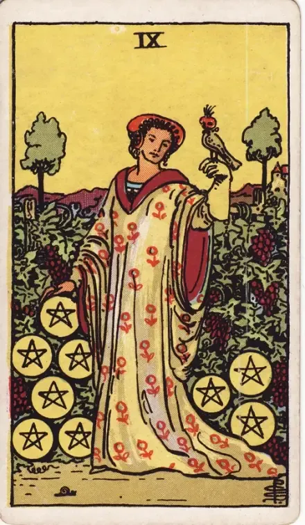 Nine of Pentacles tarot card (Rider–Waite–Smith)